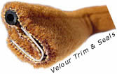Jaguar Trim